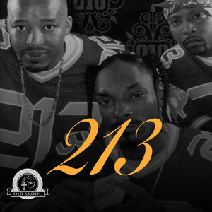 213 - playlist by Old Skool Rap | Spotify