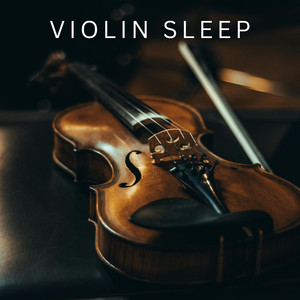 Violin and Piano playlist cover