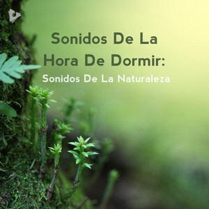 Sonidos De La Hora De Dormir: Sonidos De La Naturaleza