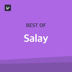 Best of Salay cover art