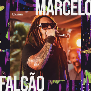 Imagem de Falcon shield