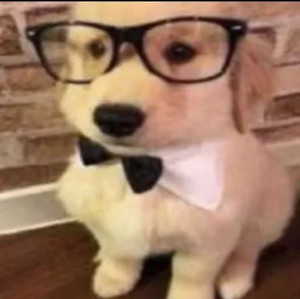 pawsomechud54
