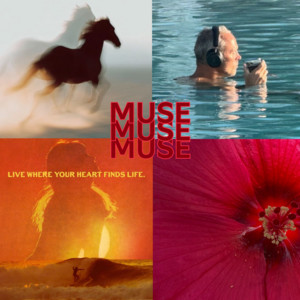 MUSING ❤️‍🔥 cover
