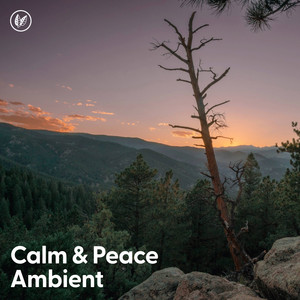 Calm & Peace Ambient cover
