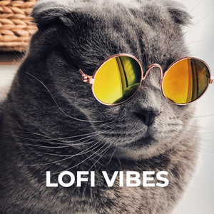 LOFI BEATS VIBES playlist cover