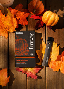 Pumpkin Spice Traveler Pro Vape - Fernway