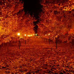 Late Night Tales of Autumn playlist cover