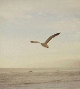 indie, instrumental and chill