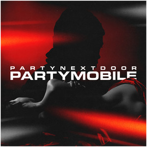 All PARTYNEXTDOOR Songs On Spotify playlist cover