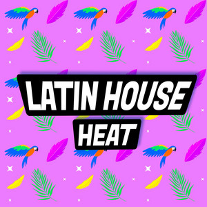 Latin House Heat playlist cover