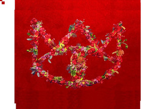 Imagem de Empire 21