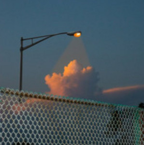 Golden Evening cover