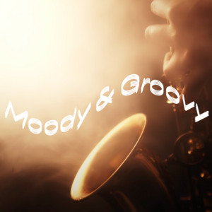 Discovery - Moody & Groovy cover