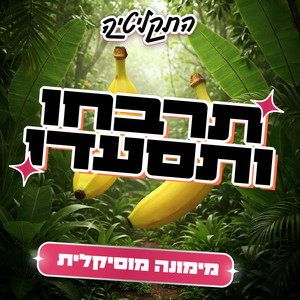 עטיפת הפלייליסט מוזיקת צהלולים של התקליטיה בספוטיפיי