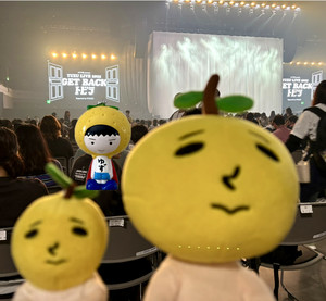 ゆず YUZU GET BACK トビラ 2025 ガチャ ゆずマン 12点 ゆず YUZU GET