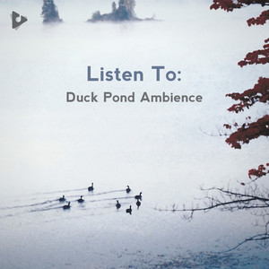 Listen To: Duck Pond Ambience