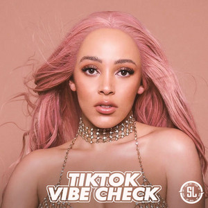 TIK TOK VIBE CHECK playlist cover