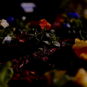 Mir playlist  — cover art