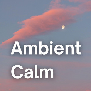 Ambient Calm Spotify playlist cover art