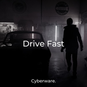 Drive Fast House cover