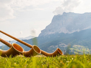 Traditional Alphorn