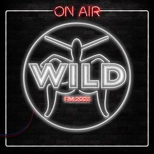 WILD FM 2026: Dance, House & Electronic playlist cover