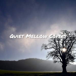 Quiet Mellow Covers cover