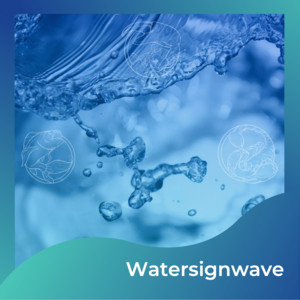 Watersignwave cover
