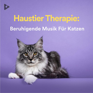 Haustier Therapie: Beruhigende Musik Für Katzen