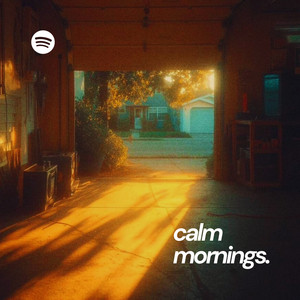 Calm Mornings 
