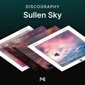 spotify image
