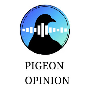 Pigeon Opinion