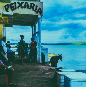 BRASIL: UM PAÍS DO CARALHO playlist cover