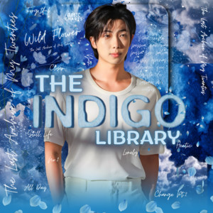THE INDIGO LIBRARY - DIA 05 - playlist by Magic Charts Projects | Spotify