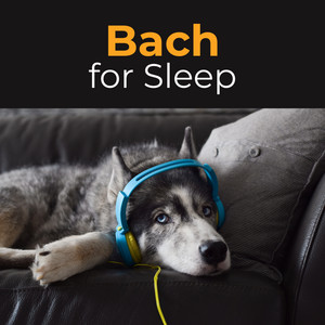 Bach for Sleep 😴: Soft piano for peaceful nights 💤