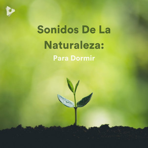 Sonidos De La Naturaleza: Para Dormir