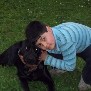 Imagem de All Dogs Go To Heaven