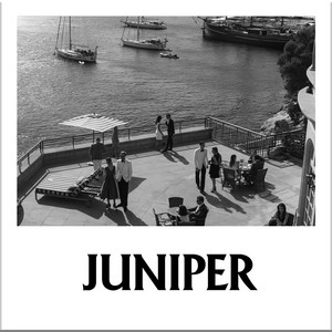 Session 22: Hôtel de Juniper Cocktail Bar