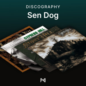 spotify image