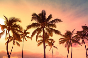 Morocco Summer Hits 2026 🇲🇦 — cover art