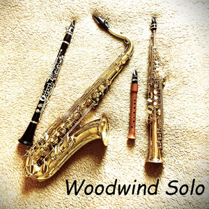 Woodwind Solo Spotify playlist cover art
