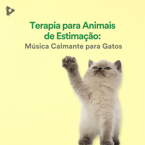 Terapia para Animais de Estimação: Música Calmante para Gatos