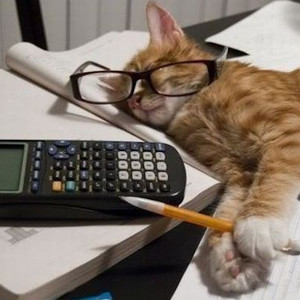 рџ љ Playlist By Al Spotify