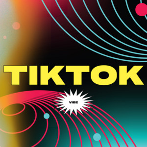 TikTOk Vibe Spotify playlist cover art