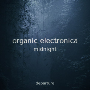 Organic Electronica - Midnight Spotify playlist cover art