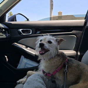 harmonics — cover art