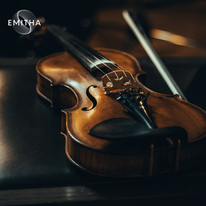 Intimate Instrumental Works (Old and New) playlist cover