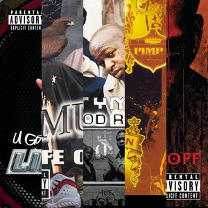 The Sound of Dirty South Rap