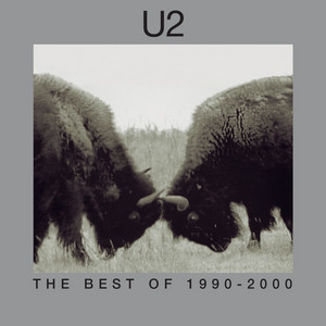 The Best of 1990 - 2000 & B - Sides