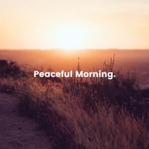 Peaceful Morning. cover